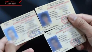 3 trường hợp chính dẫn đến việc bị thu hồi và hủy bỏ bằng lái vĩnh viễn