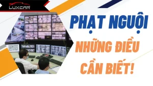 Hướng dẫn tra cứu phạt nguội