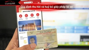 Quy định thu hồi và hủy bỏ giấy phép lái xe
