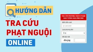 Hướng dẫn tra cứu phạt nguội ô tô online