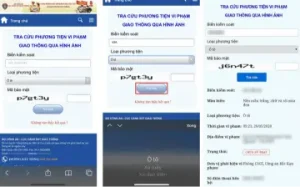 Khi tra cứu phạt nguội, cần nhập đúng thông tin để nhận về kết quả chính xác nhất
